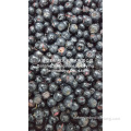 Hele Blueberry Freeze Dryer